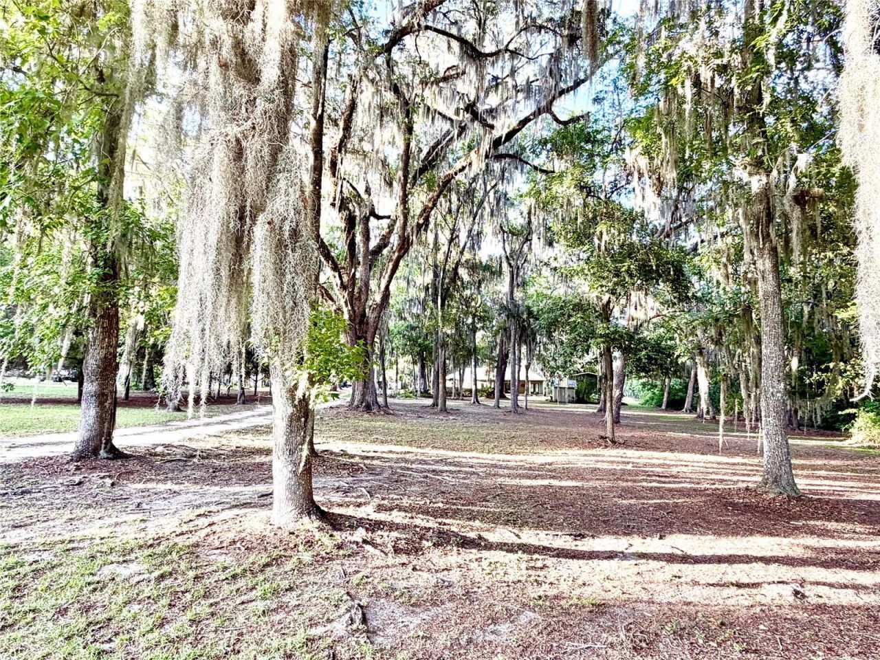 1043 SE County Road 21b , Melrose, FL 32666 Photo