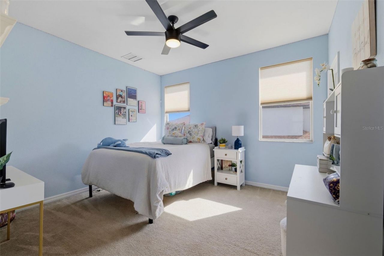 4107 Windcrest Drive , Wesley Chapel, FL 33544 Photo