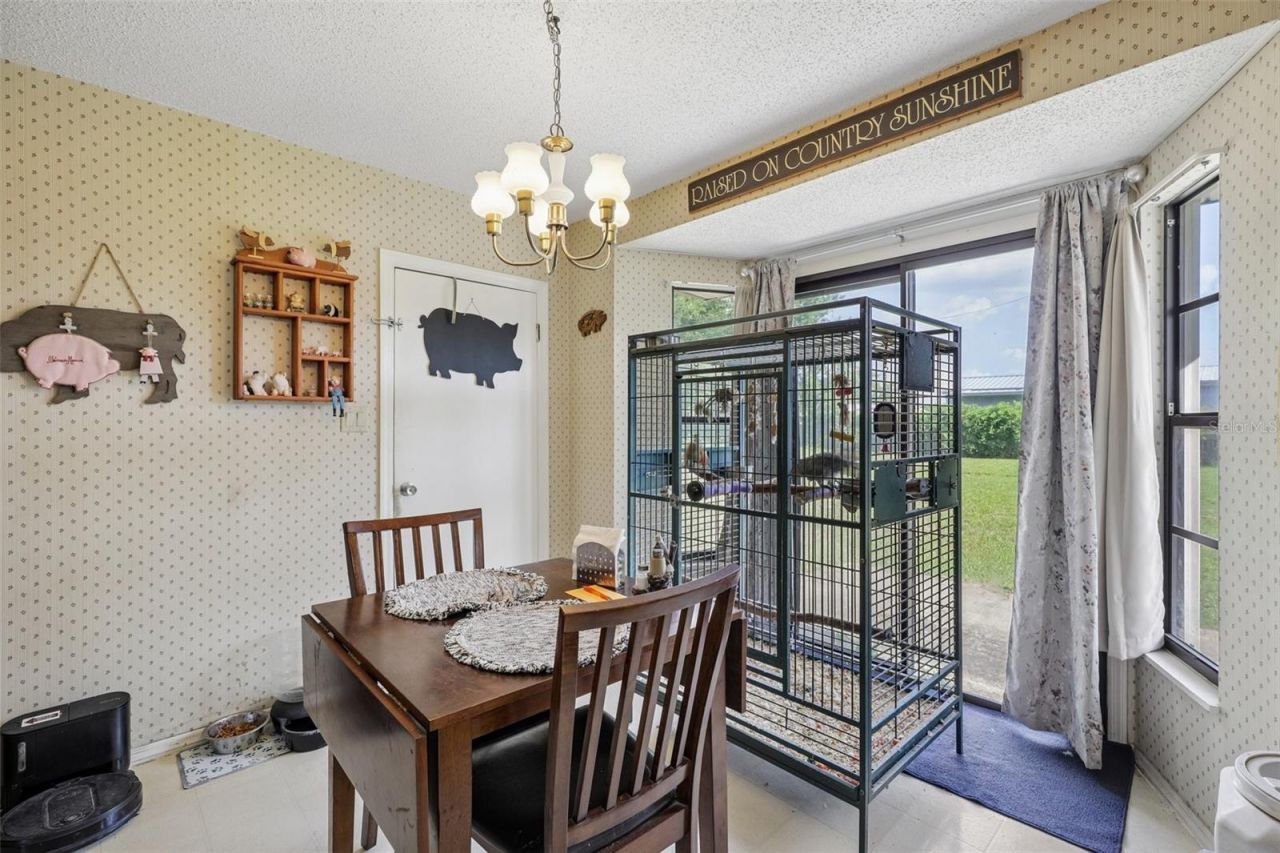 1109 W C 48, Bushnell, FL 33513 Photo