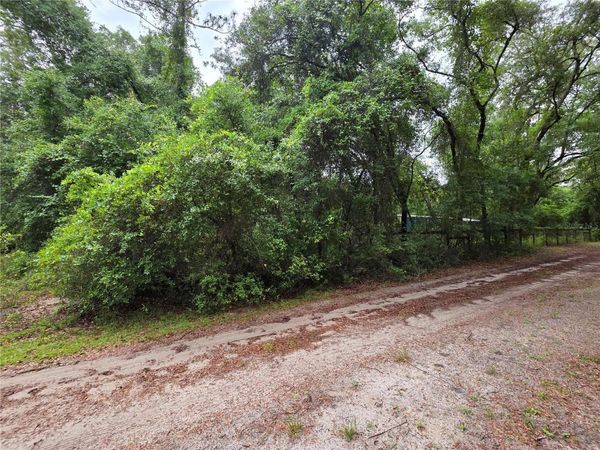 000 NE 138TH TERRACE , FORT MC COY, FL 32134