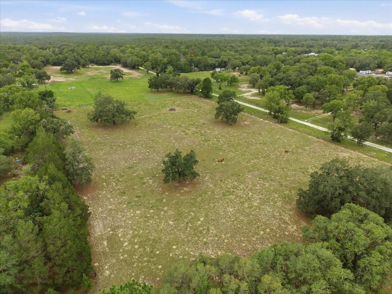7291 S Wanderlust Point , Homosassa, FL 34446 Photo
