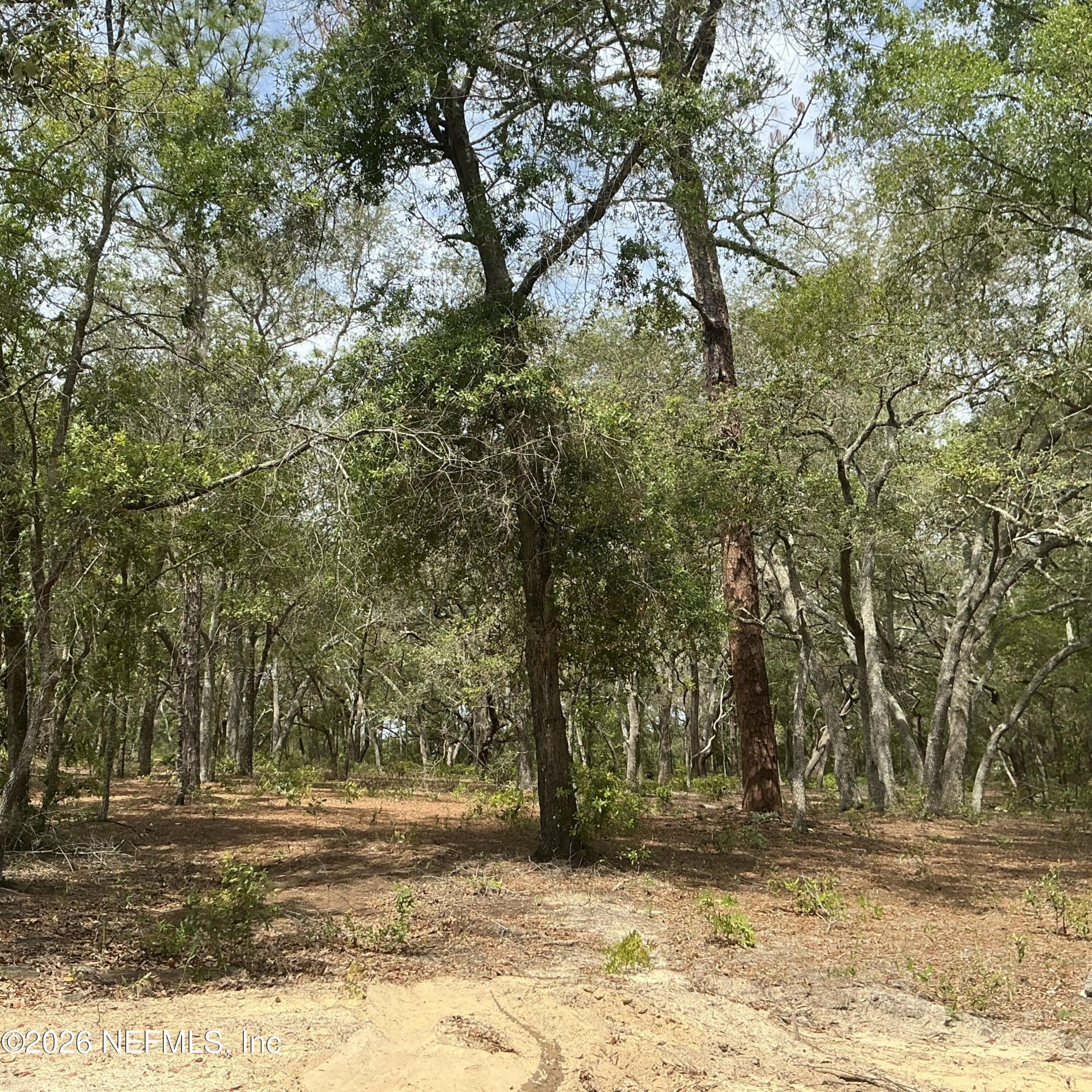 1643 State Rd 20, Hawthorne, FL 32640 Photo