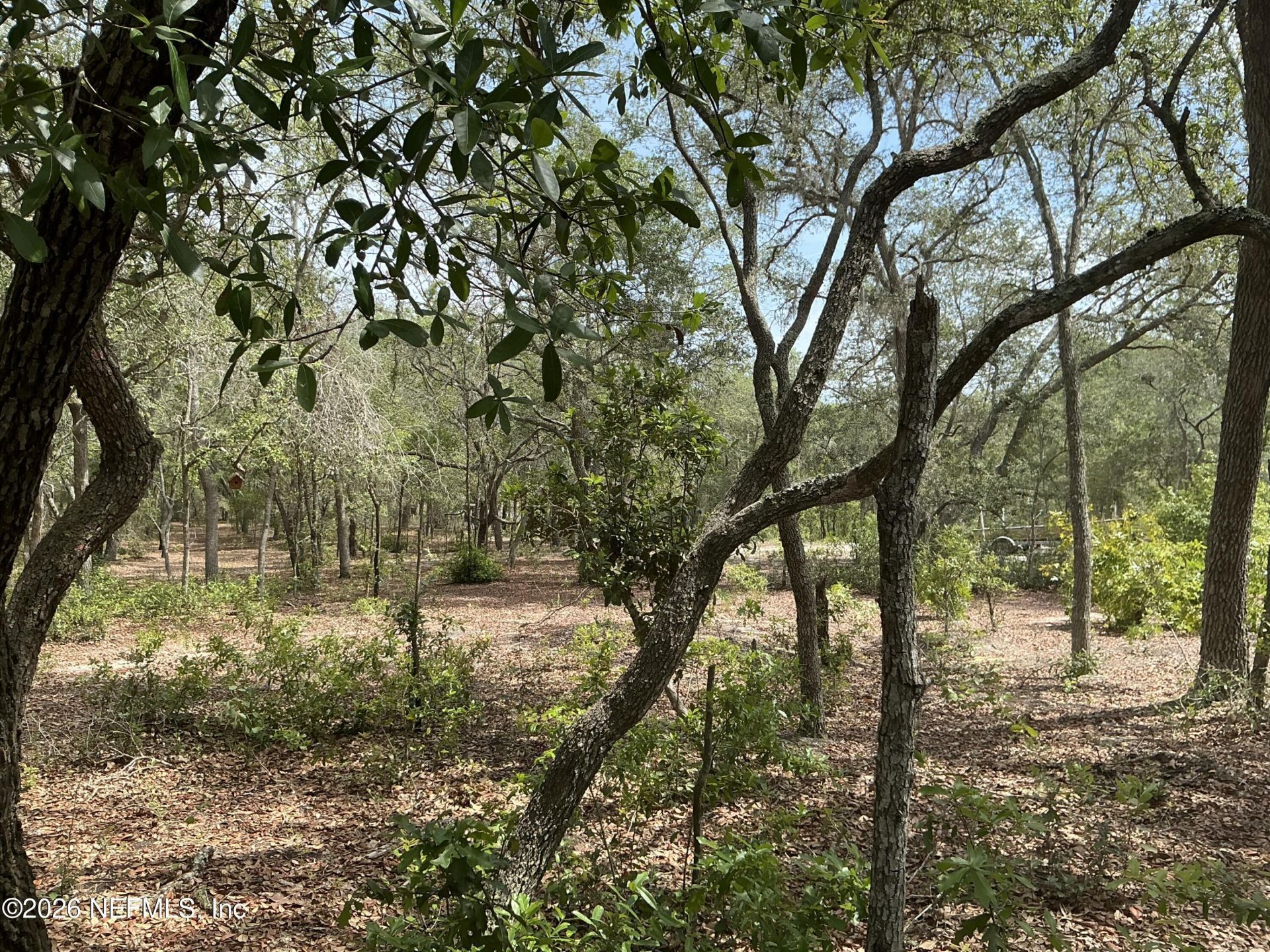 1643 State Rd 20, Hawthorne, FL 32640 Photo