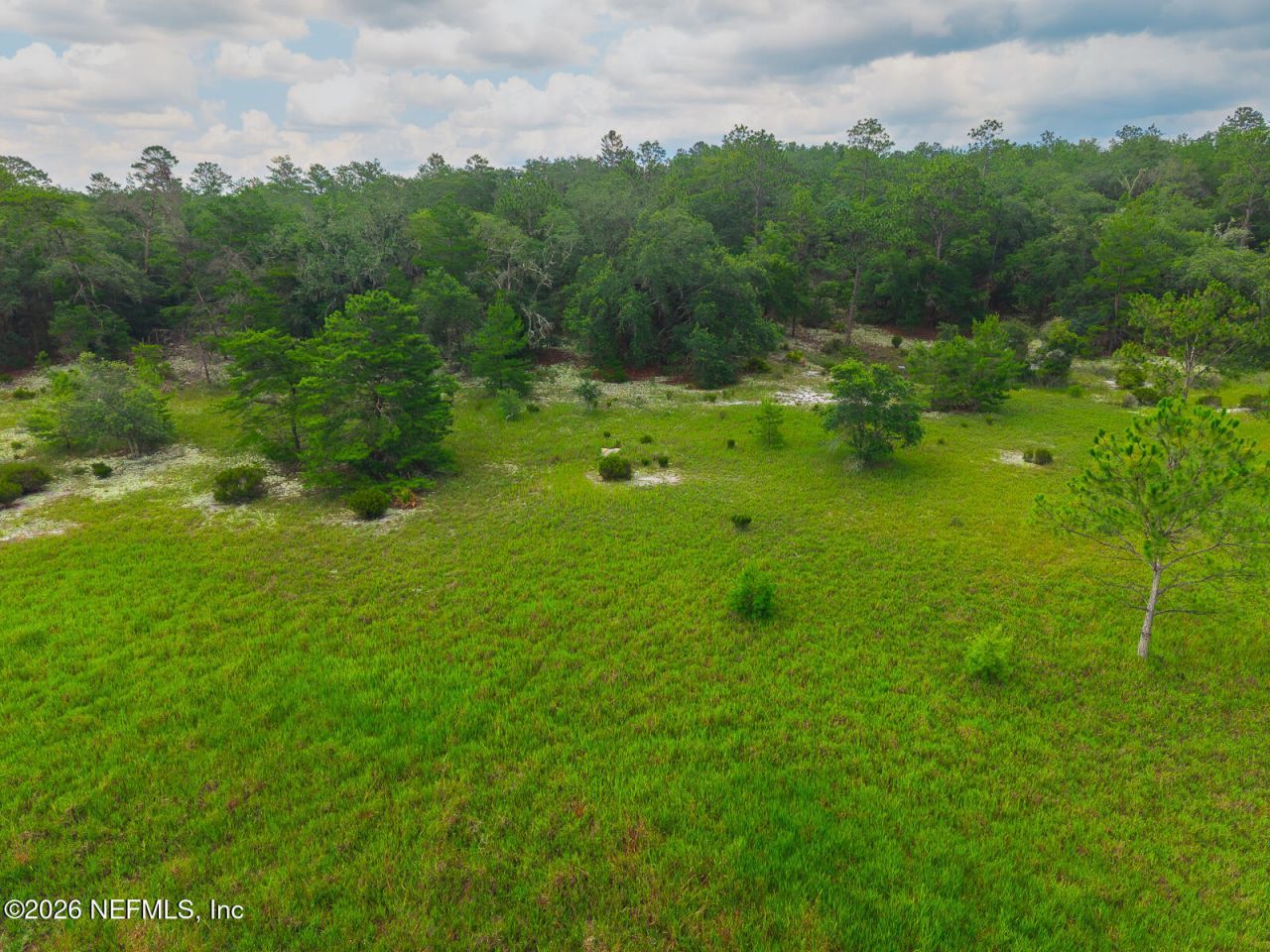 1643 State Rd 20, Hawthorne, FL 32640 Photo