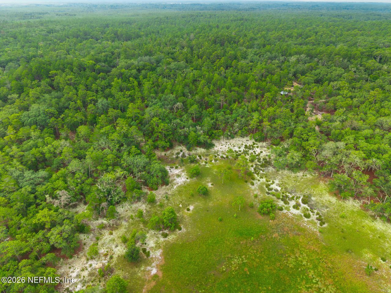 1643 State Rd 20, Hawthorne, FL 32640 Photo