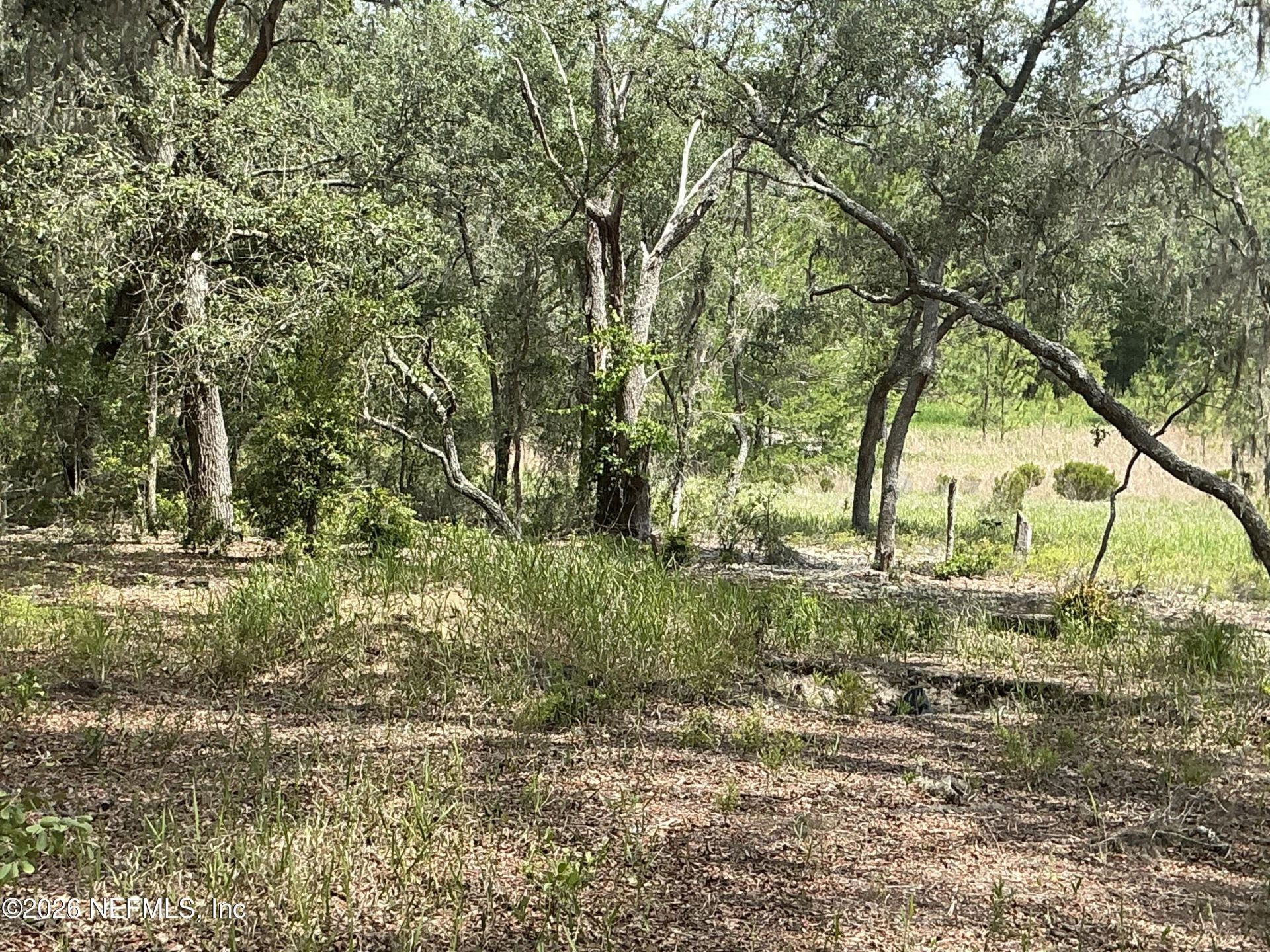 1643 State Rd 20, Hawthorne, FL 32640 Photo