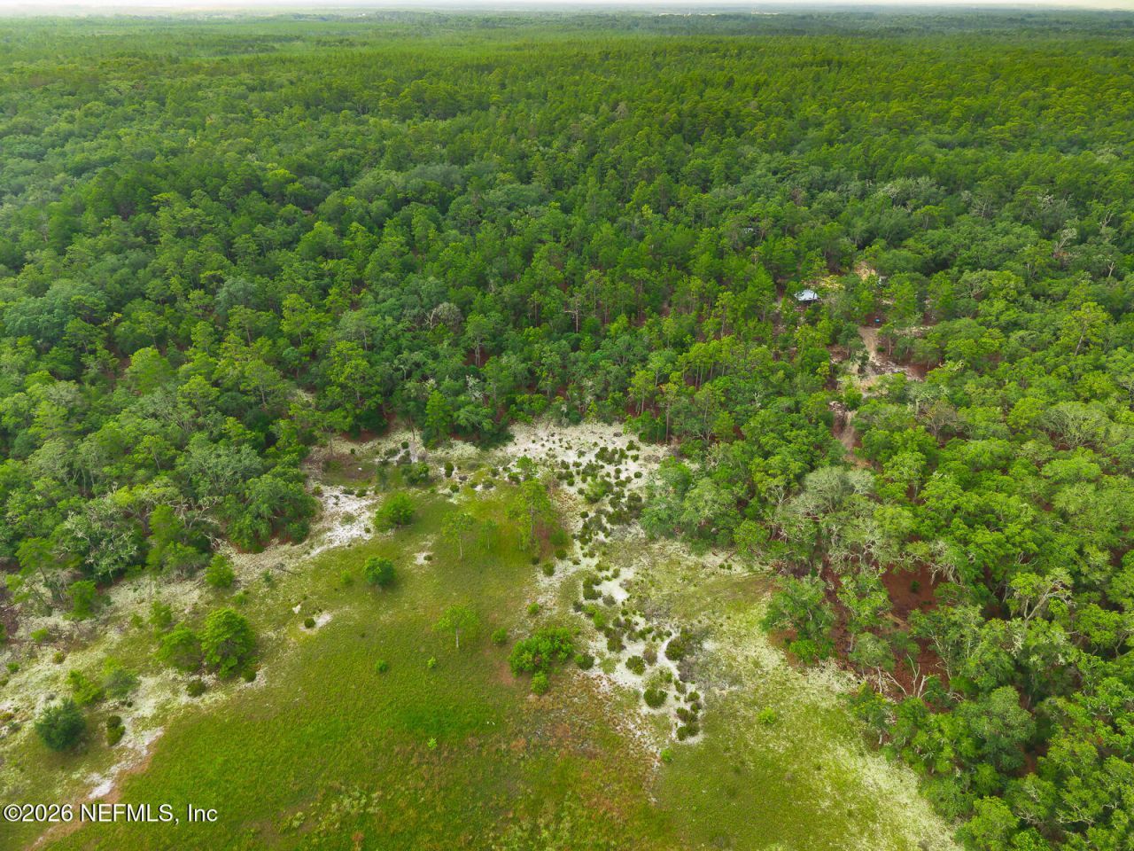 1643 State Rd 20, Hawthorne, FL 32640 Photo