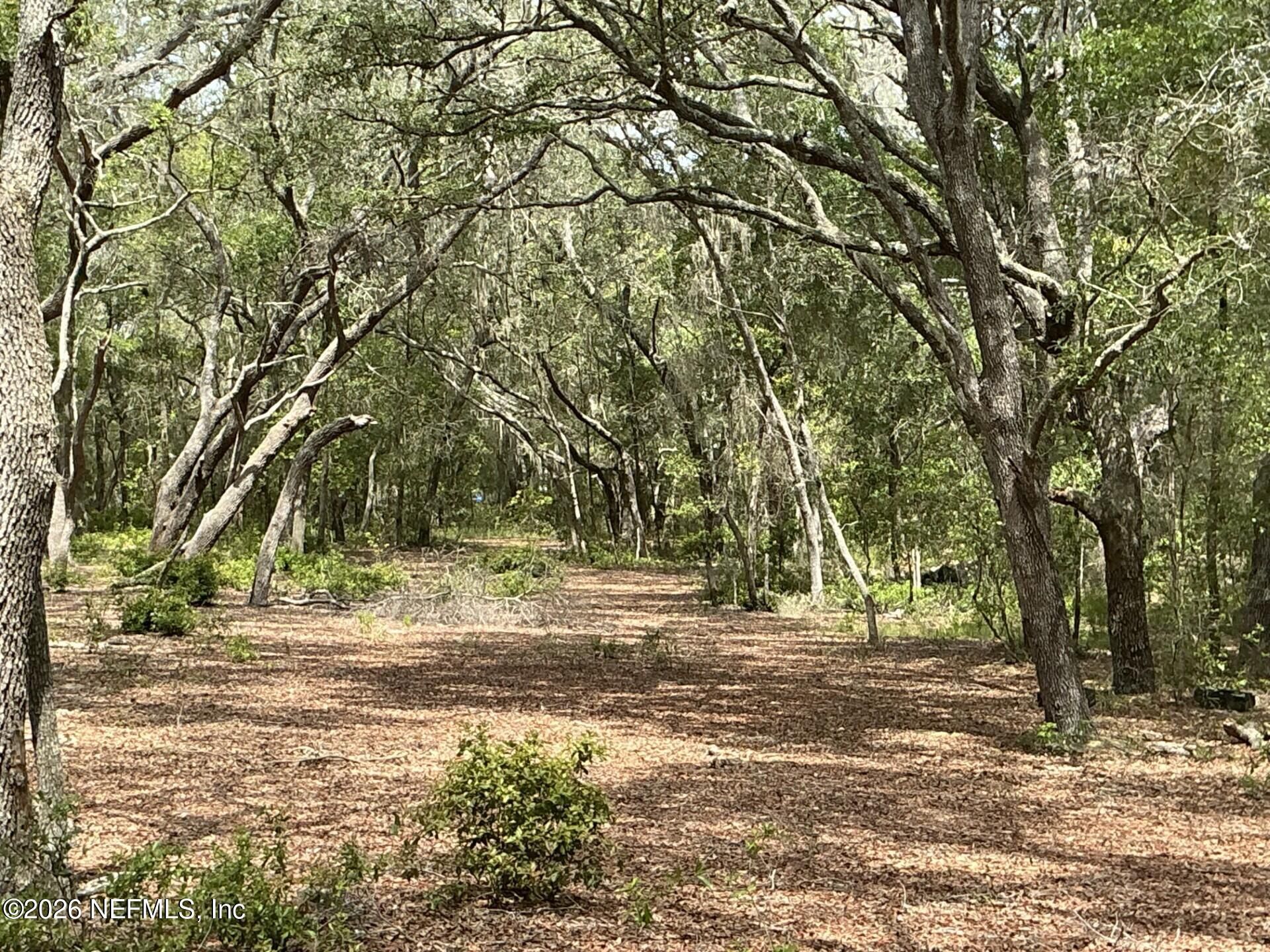 1643 State Rd 20, Hawthorne, FL 32640 Photo