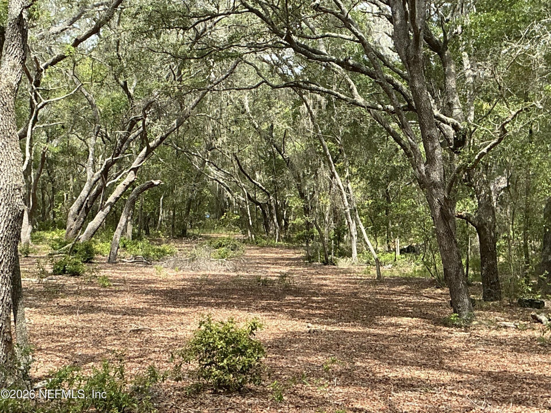 1643 State Rd 20, Hawthorne, FL 32640 Photo