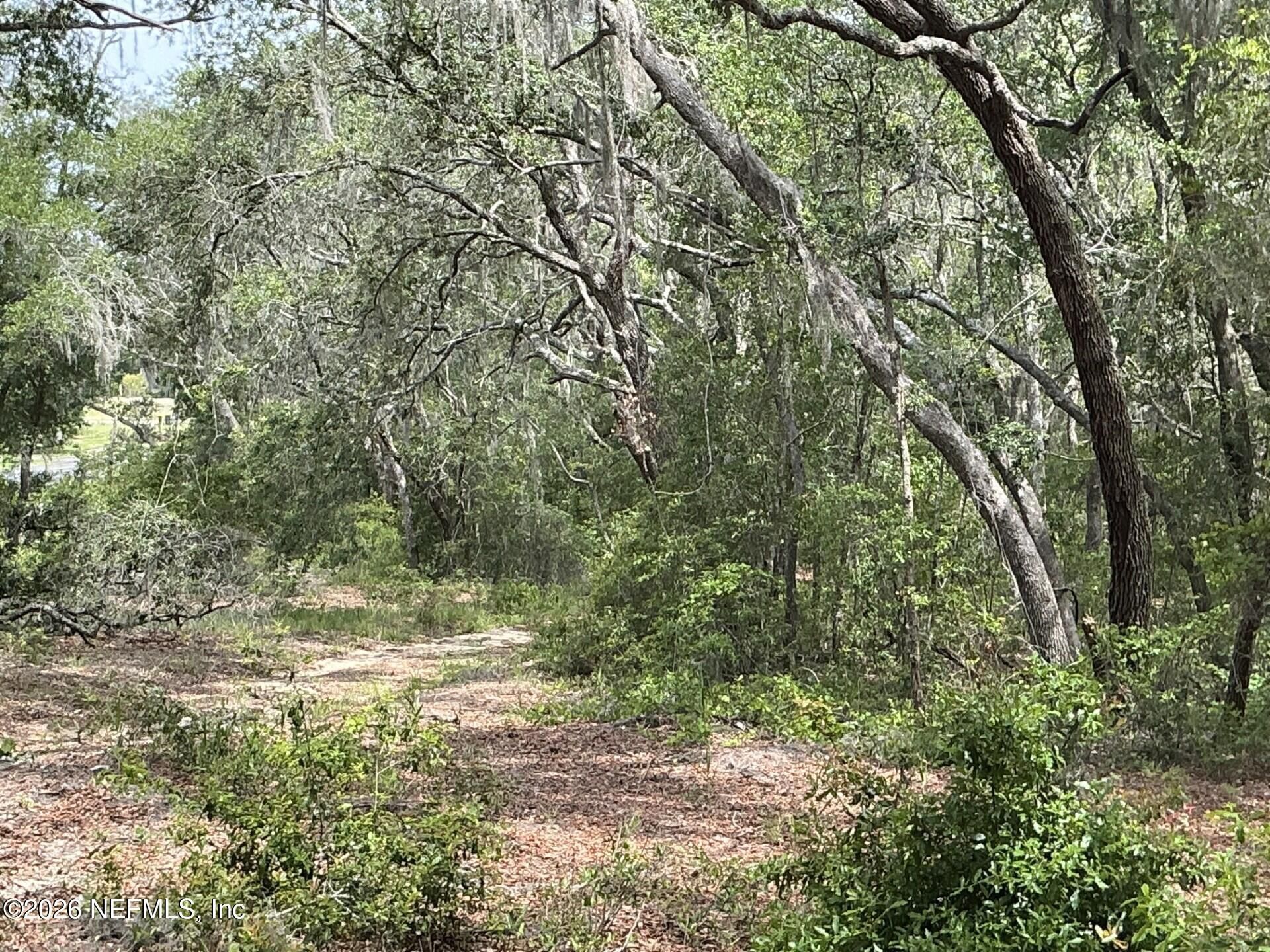1643 State Rd 20, Hawthorne, FL 32640 Photo