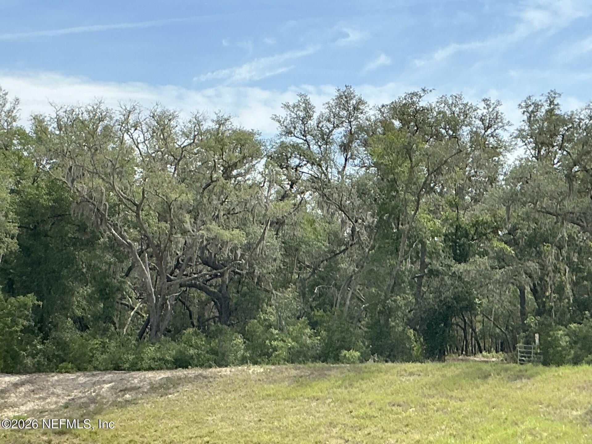 1643 State Rd 20, Hawthorne, FL 32640 Photo