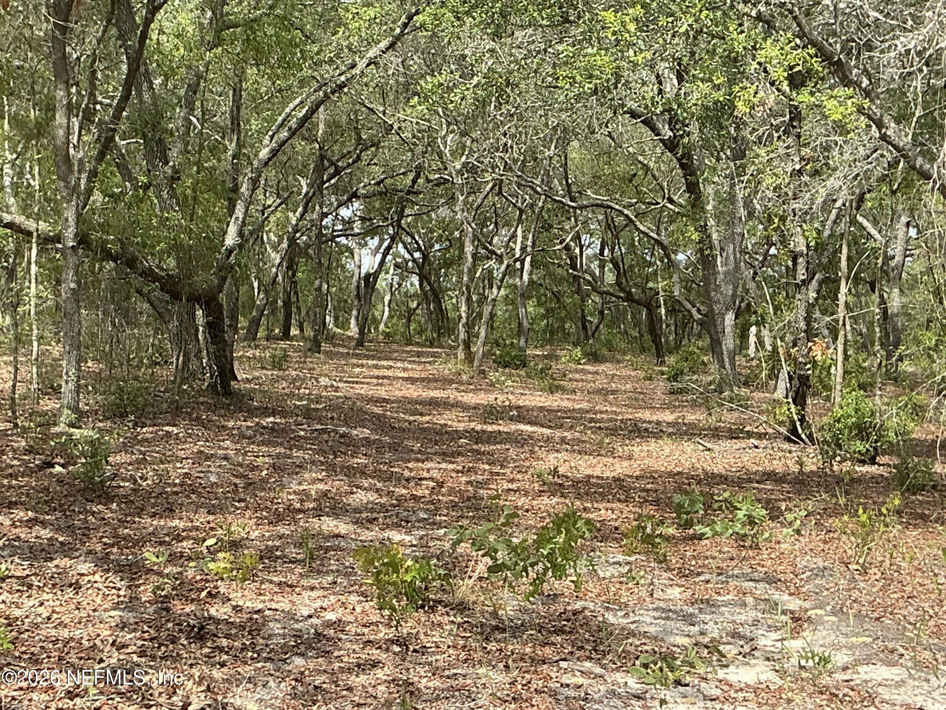 1643 State Rd 20, Hawthorne, FL 32640 Photo