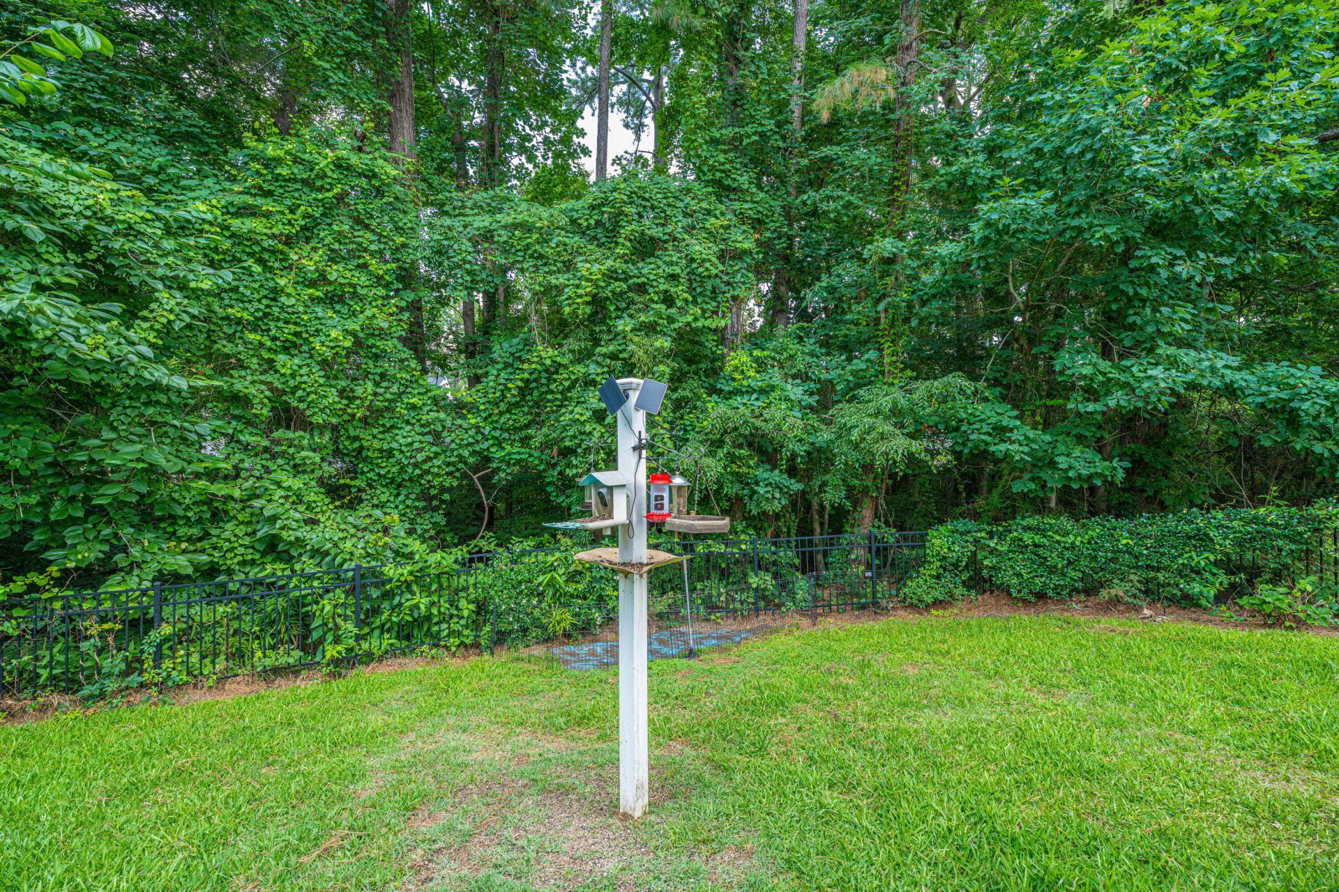 1517 Saint Stephens Way Photo 54