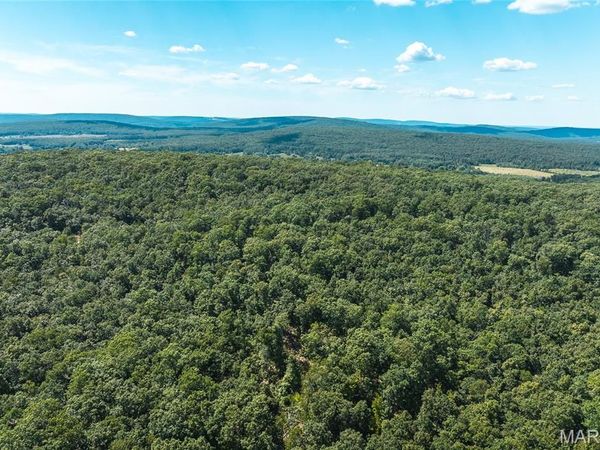3 Buck Mountain Road, Doe Run, MO 63667