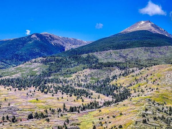 2269 Running Bear , Cotopaxi, CO 81223