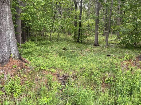 2447 NY-28, Johnsburg, NY 12886