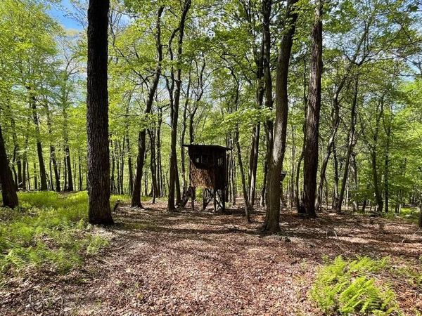 133.944 ACRES RUSSELLDALE ROAD, BURLINGTON, WV 26710