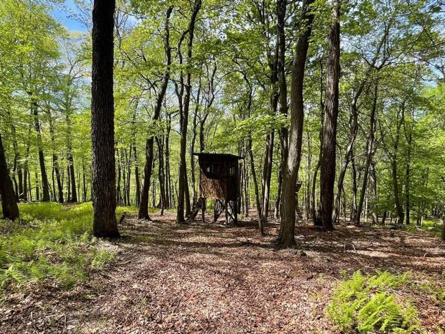 133.944 Acres Russelldale Road, Burlington, WV 26710 Main Photo