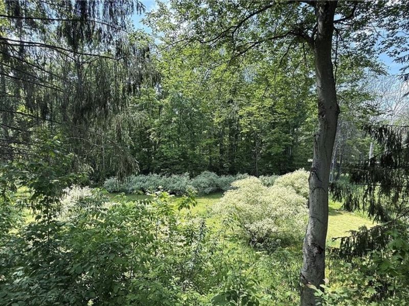 13702 Cuyahoga Trail, Novelty, OH 44072 Photo 41