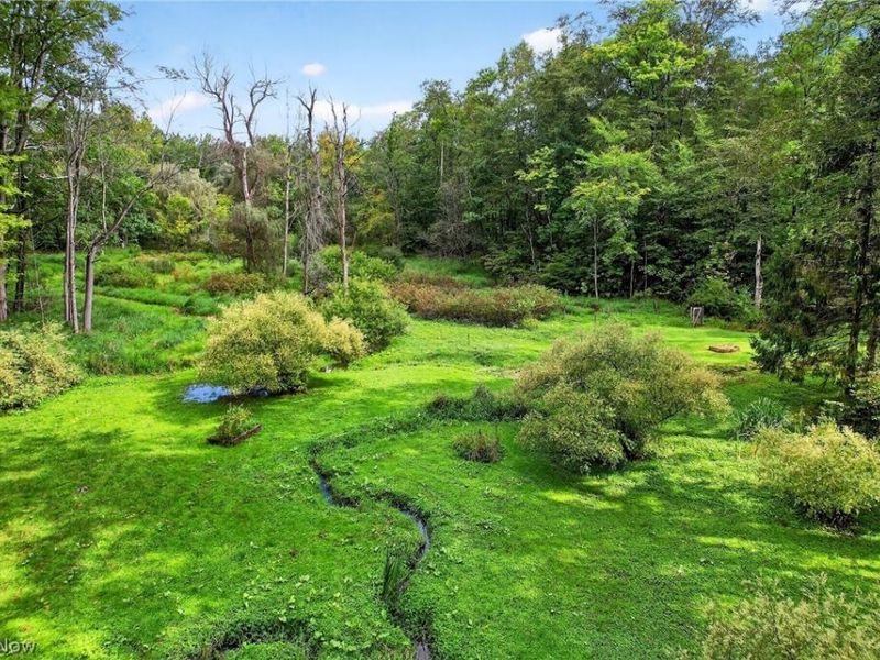 13702 Cuyahoga Trail, Novelty, OH 44072 Photo 47