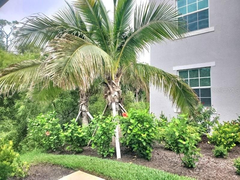 14161 Heritage Landing Boulevard , Unit 1121, Punta Gorda, FL 33955 Photo