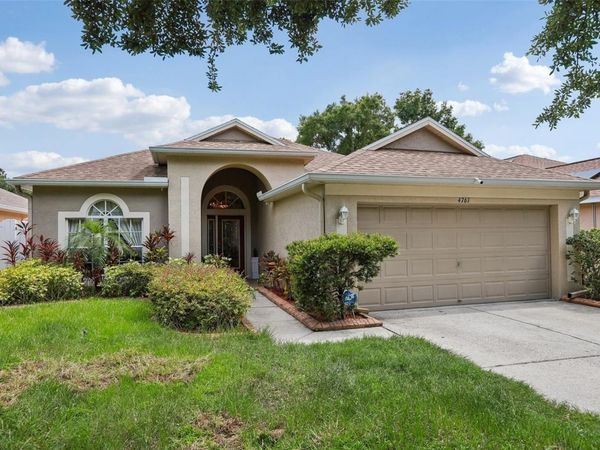 4761 WHISPERING WIND AVENUE , TAMPA, FL 33614