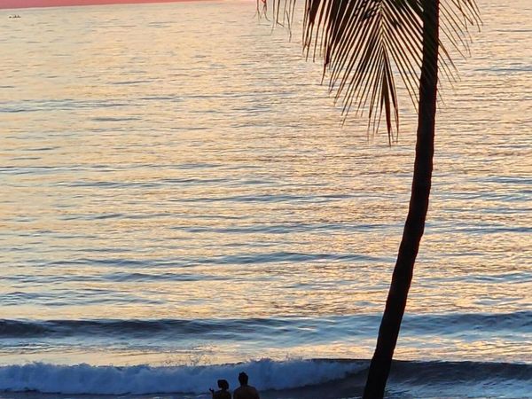 2080 E Hillsboro Boulevard, Unit 108, Deerfield Beach, FL 33441