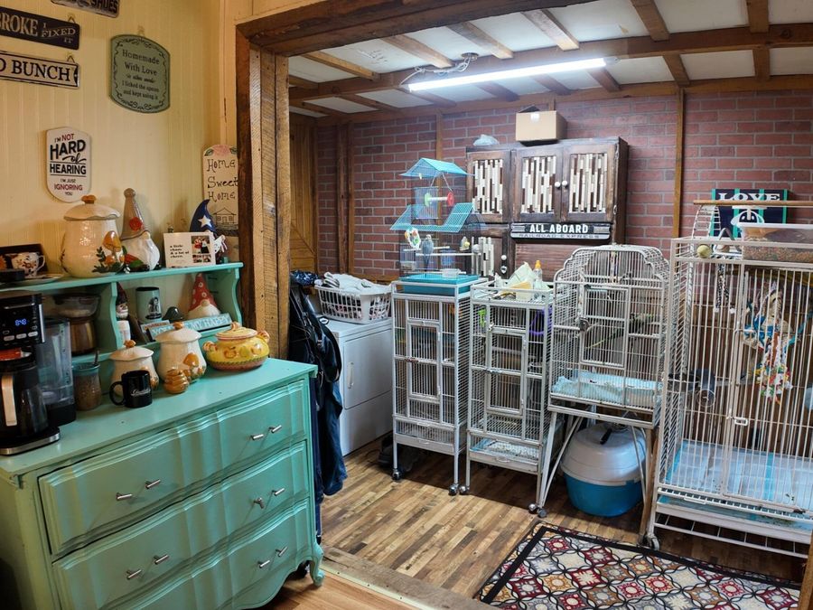 Property Image 34