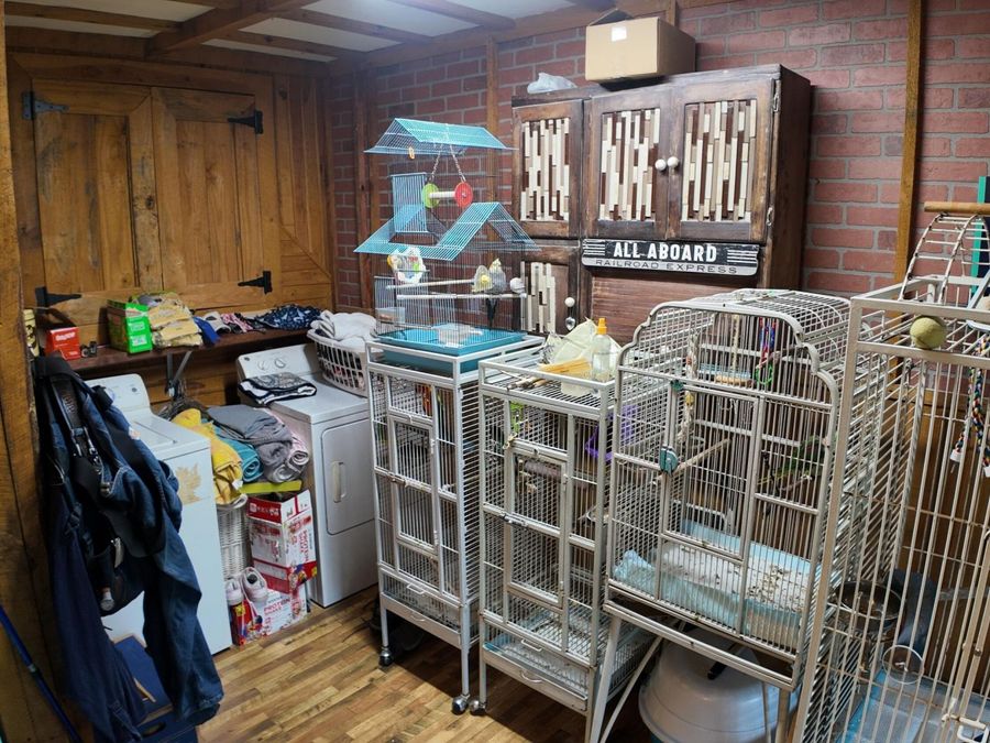 Property Image 54
