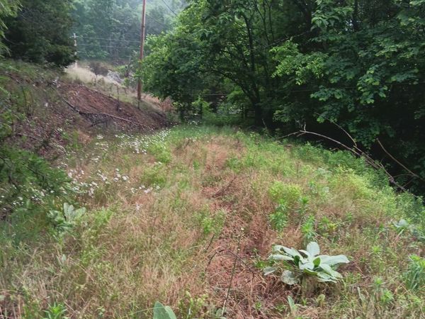 2595 TN-31, Mooresburg, TN 37811