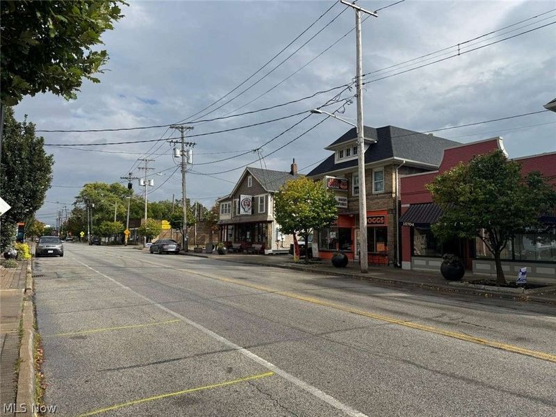 426 E 160 Street, Cleveland, OH 44110 Photo 17
