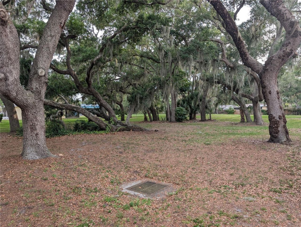 517 Bearded Oaks Circle, Sarasota, FL 34232 Photo
