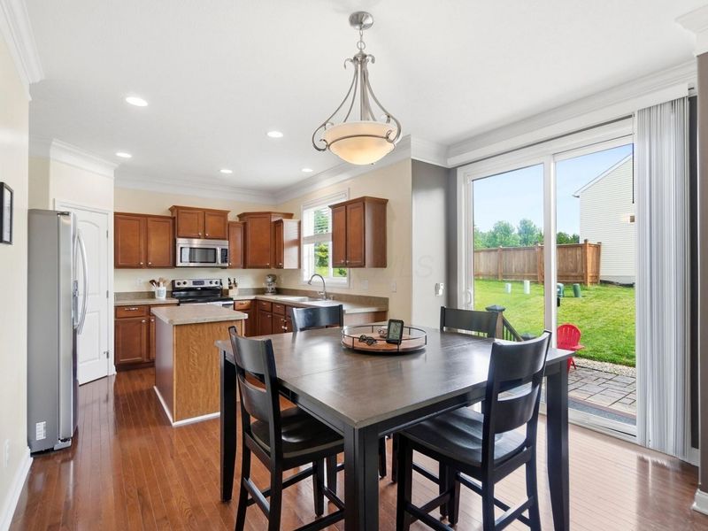 256 Olentangy Meadows Drive, Lewis Center, OH 43035 Photo 10