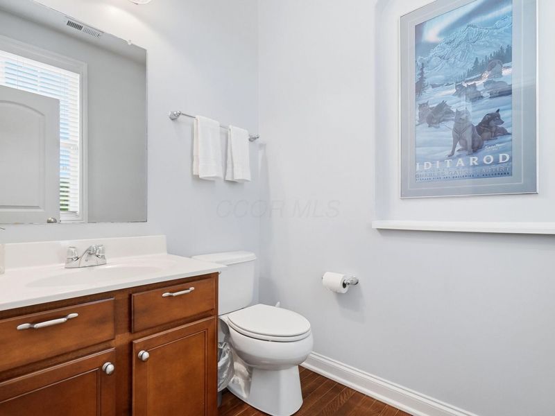 256 Olentangy Meadows Drive, Lewis Center, OH 43035 Photo 17