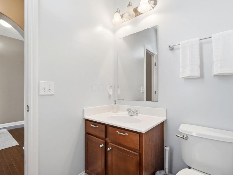 256 Olentangy Meadows Drive, Lewis Center, OH 43035 Photo 18