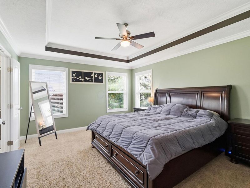 256 Olentangy Meadows Drive, Lewis Center, OH 43035 Photo 20
