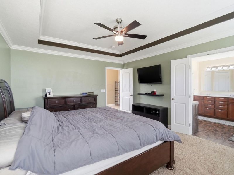 256 Olentangy Meadows Drive, Lewis Center, OH 43035 Photo 21