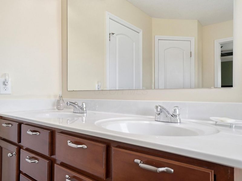 256 Olentangy Meadows Drive, Lewis Center, OH 43035 Photo 23