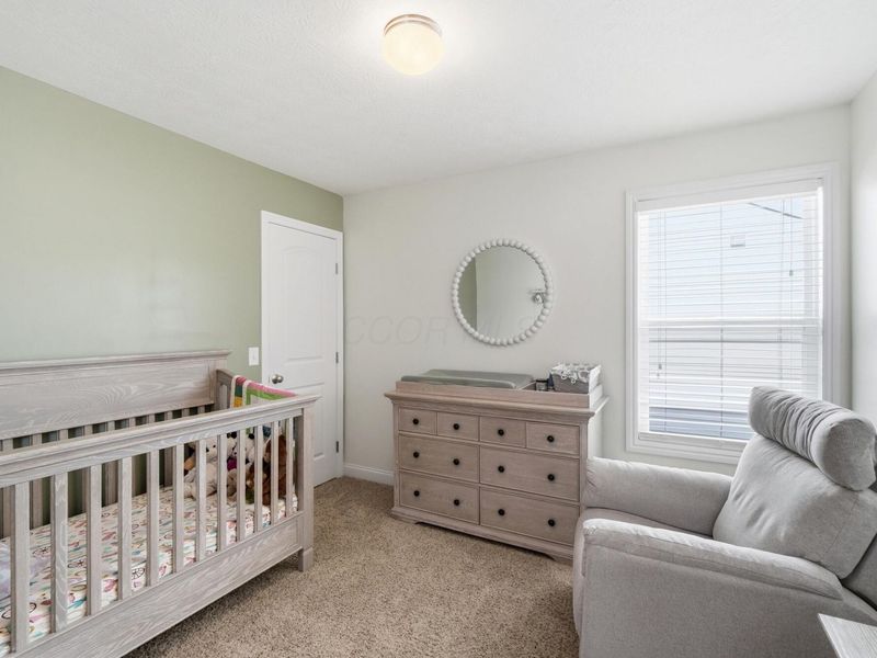 256 Olentangy Meadows Drive, Lewis Center, OH 43035 Photo 30