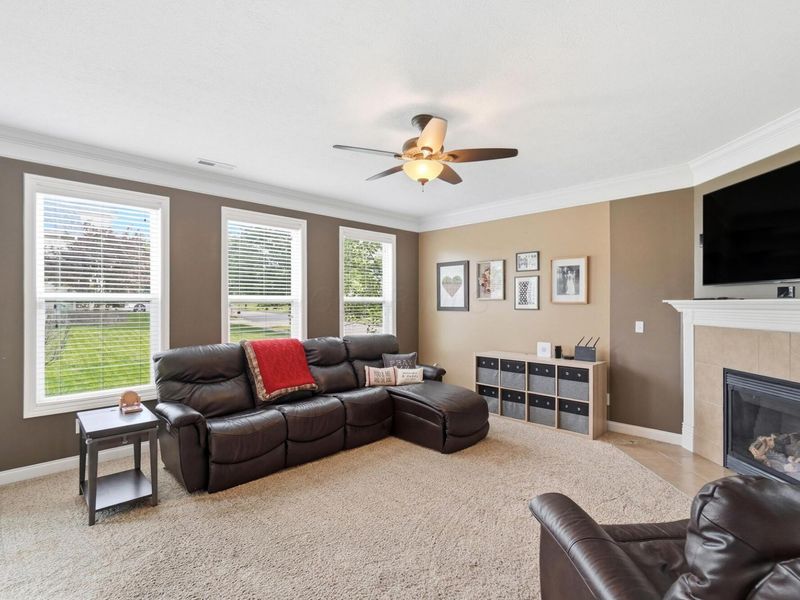 256 Olentangy Meadows Drive, Lewis Center, OH 43035 Photo 7