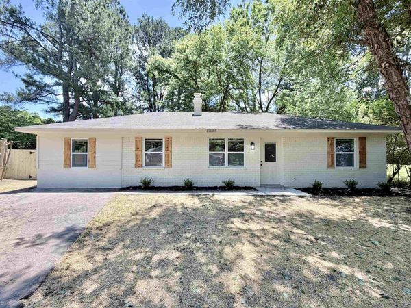 11105 DIXON ROBINSON DR, Arlington, TN 38002
