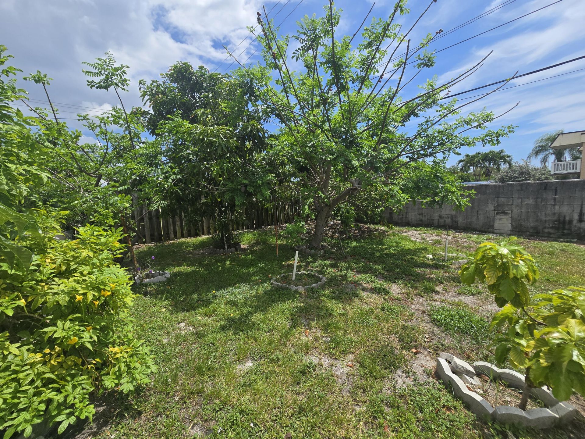 3560 NW 3rd Avenue, Unit 1-2, Pompano Beach, FL 33064 Photo