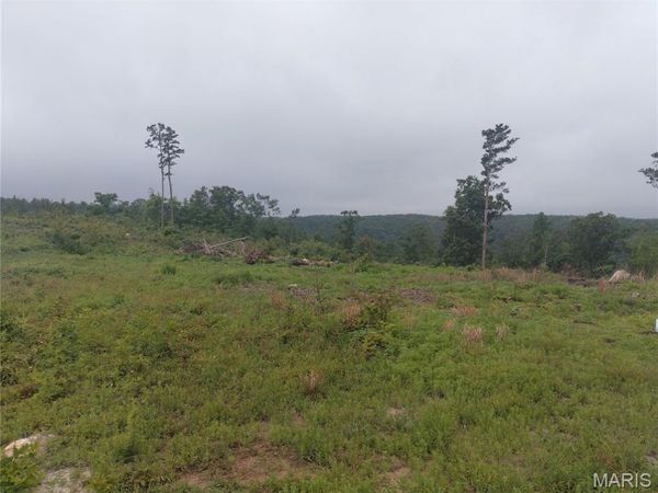 11 Tract 11 Off Hwy O , Belleview, MO 63623