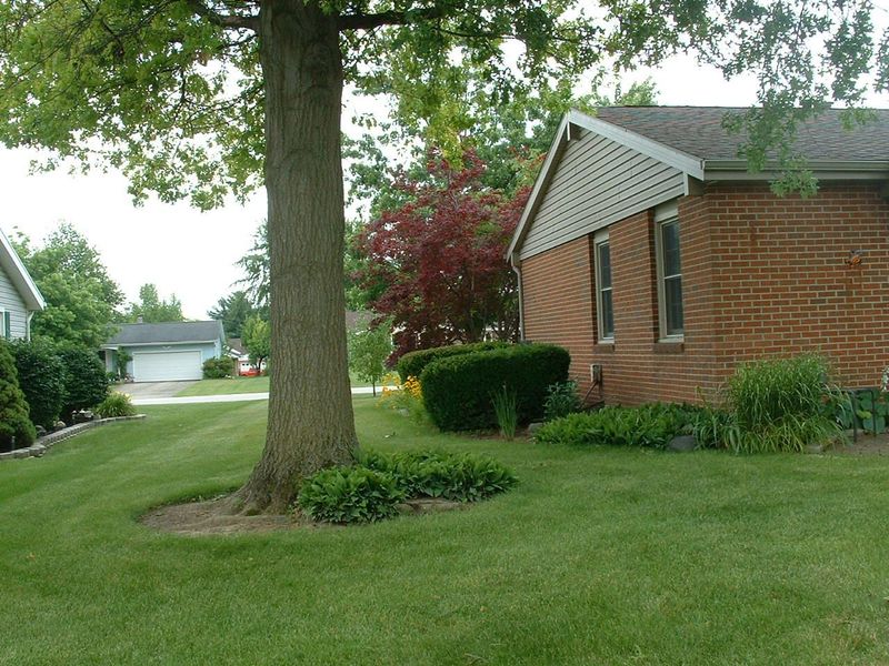 814 Aster Drive, Wapakoneta, OH 45895 Photo 11