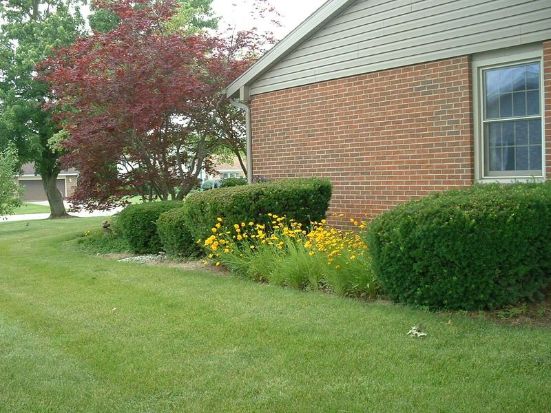 814 Aster Drive, Wapakoneta, OH 45895 Photo 17