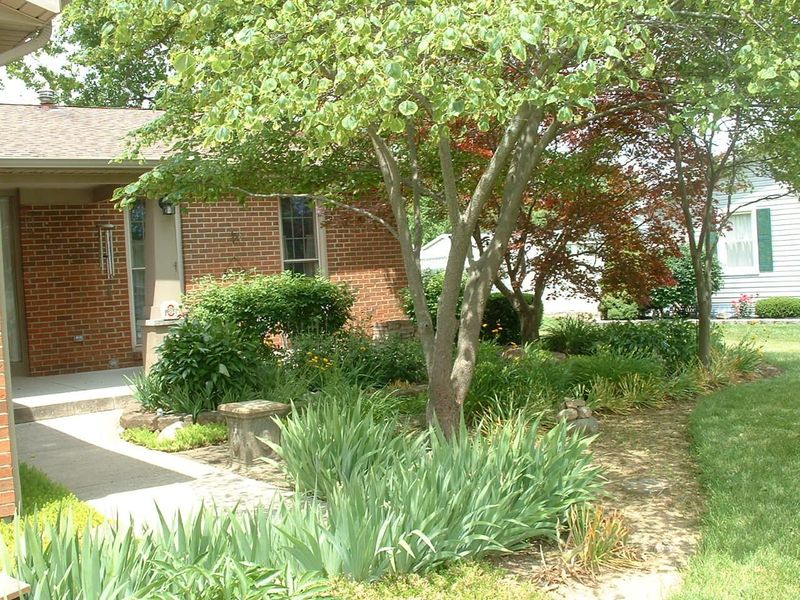 814 Aster Drive, Wapakoneta, OH 45895 Photo 21