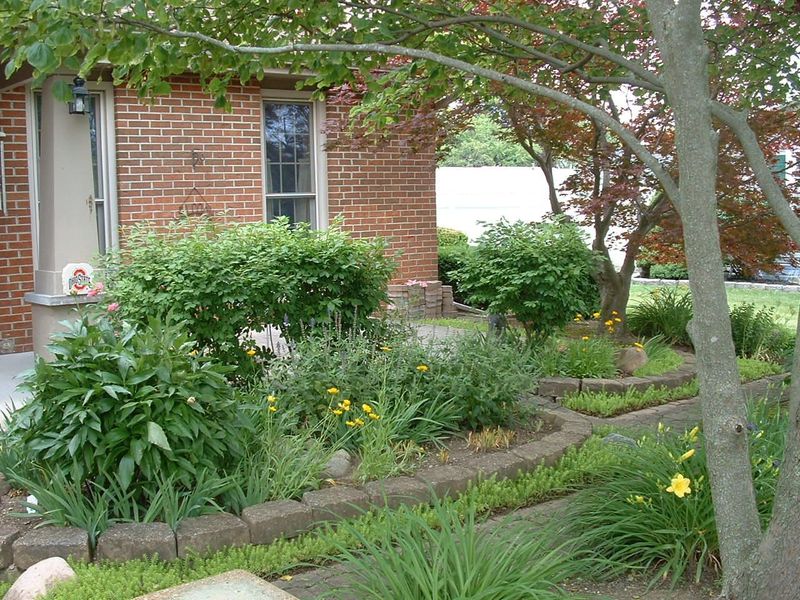814 Aster Drive, Wapakoneta, OH 45895 Photo 49