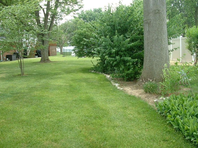 814 Aster Drive, Wapakoneta, OH 45895 Photo 8