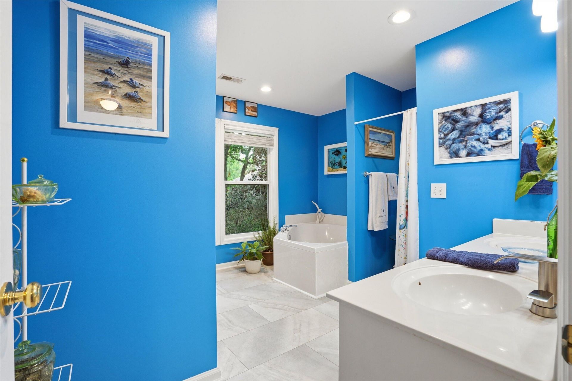 609 Dolphin Road Photo 27
