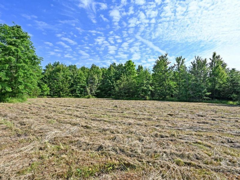 10752 Armstrong Road, Harlan Twp, OH 45162 Photo 4